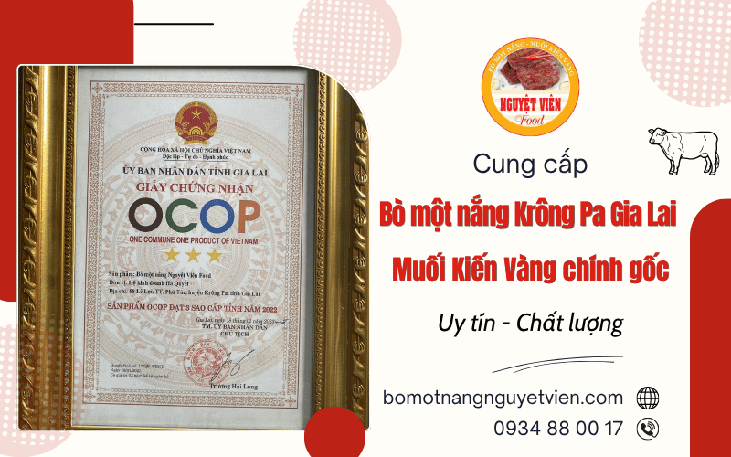 Bò một nắng Krông Pa Gia Lai - Muối Kiến Vàng chính gốc