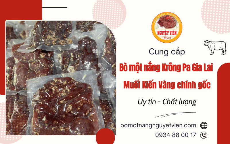 Bò một nắng Krông Pa Gia Lai - Muối Kiến Vàng chính gốc