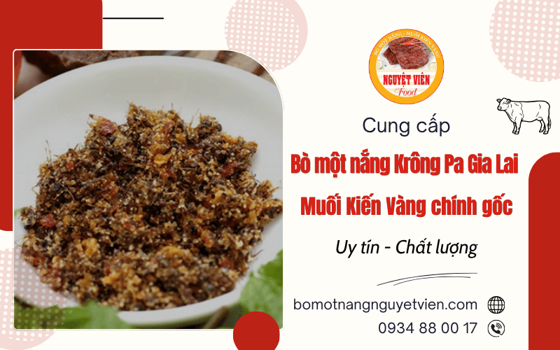 Bò một nắng Krông Pa Gia Lai - Muối Kiến Vàng chính gốc