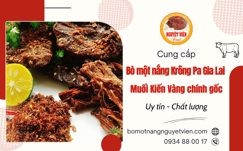 Bò một nắng Krông Pa Gia Lai - Muối Kiến Vàng chính gốc